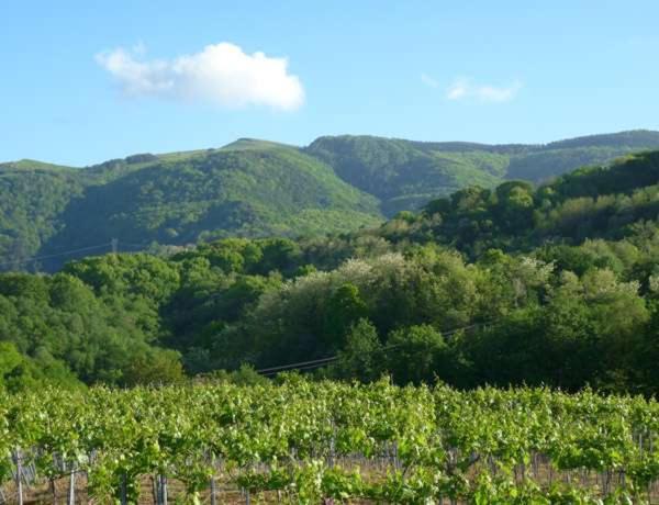 Agroturismo Landarbide Zahar Aia Kültér fotó